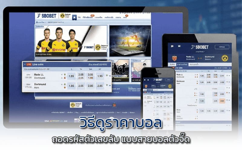 วิธีดูราคาบอล มือใหม่